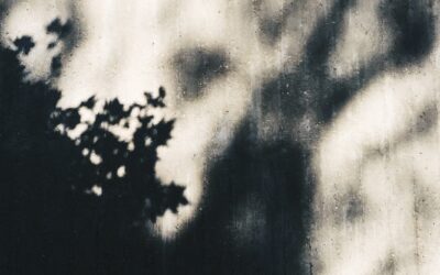 Sombras movidas por el viento